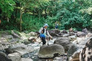 BIB: 
                            <button type="button" onclick="openModal(25118159)" class="btn btn-primary btn-sm float-right btn-popup" data-toggle="modal" data-target=".modal-high-quality">
                        <i class="fas fa-shopping-cart"></i> Add to Cart
                    </button>
                                            <button type="button" onclick="isThisMe(25118159, true)" class="btn btn-success btn-sm float-right btn-popup btn-isme hidden" data-toggle="tooltip" data-placement="bottom" title="นี่คือรูปของคุณใช่ไหม คลิกที่นี่เพื่อเอาเข้าอัลบั้ม">
                        <i class="fas fa-plus"></i> Add to album
                    </button>
                    <button type="button" onclick="isThisMe(25118159, false)" class="btn btn-warning btn-sm float-right btn-popup btn-isnotme hidden">
                        <i class="fas fa-ban"></i> Remove from album
                    </button>